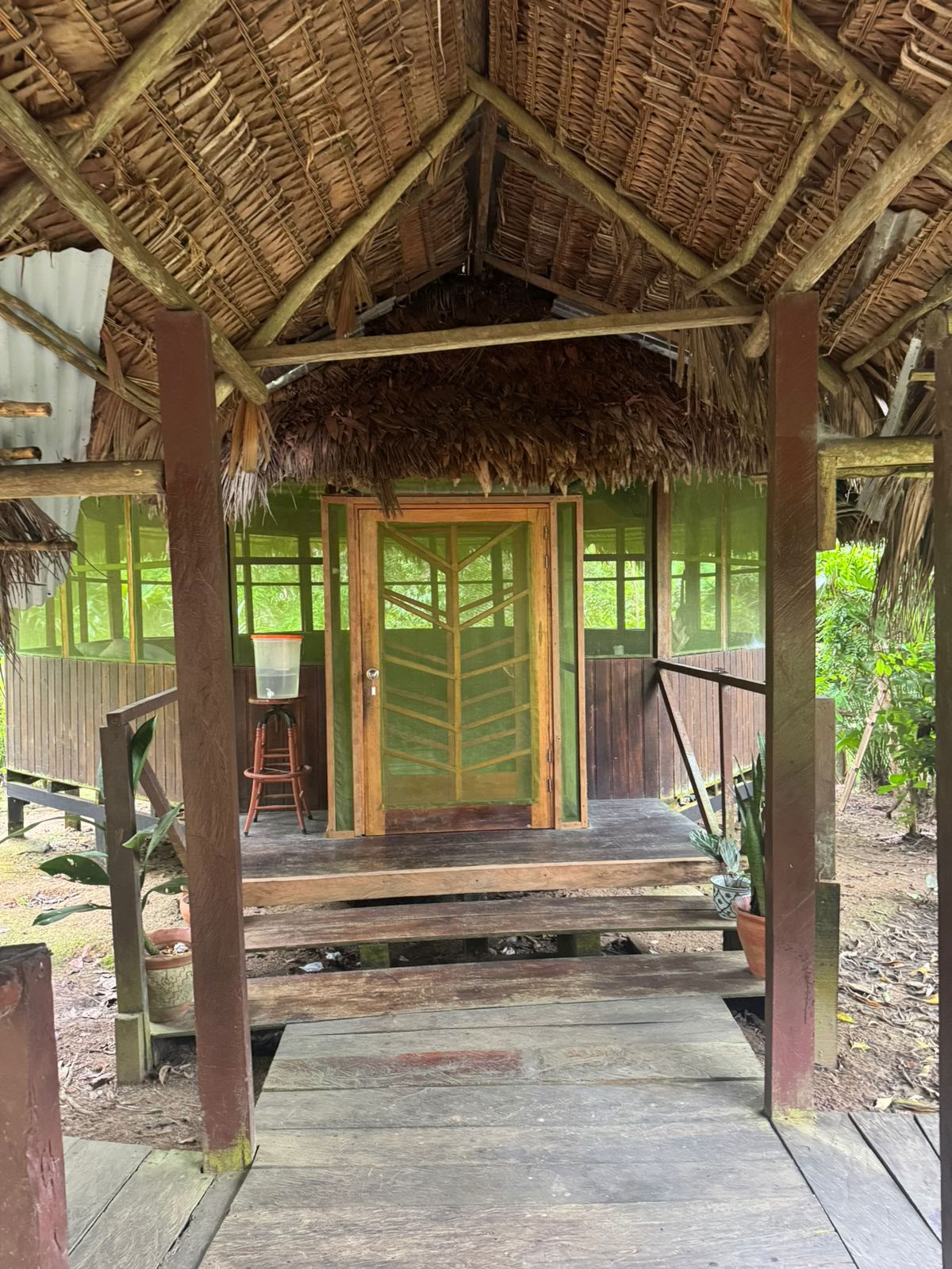 Lighthouse! Retraite Ayahuasca