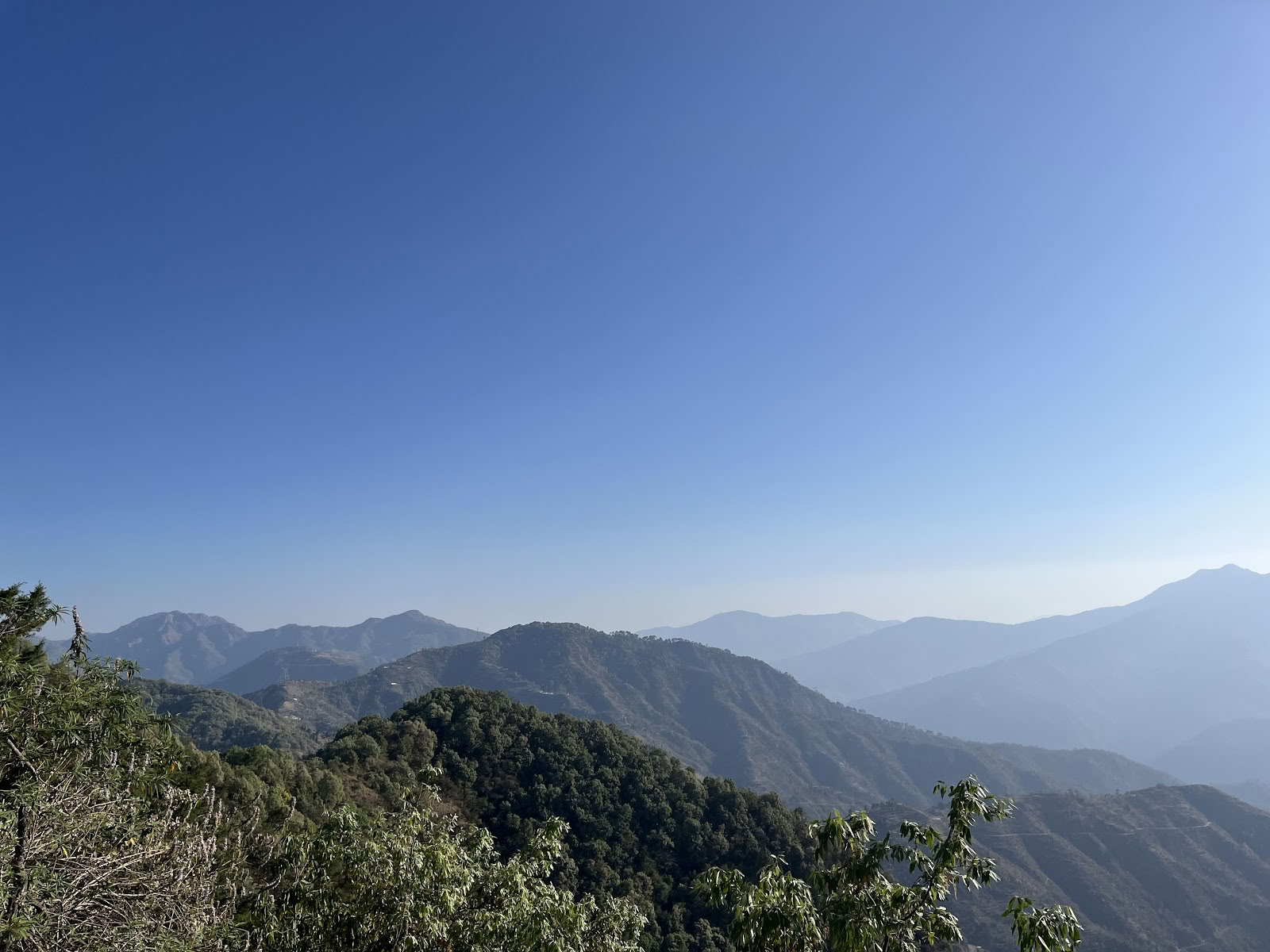 Japam Yoga, Treks et Tours LLP (Studio)