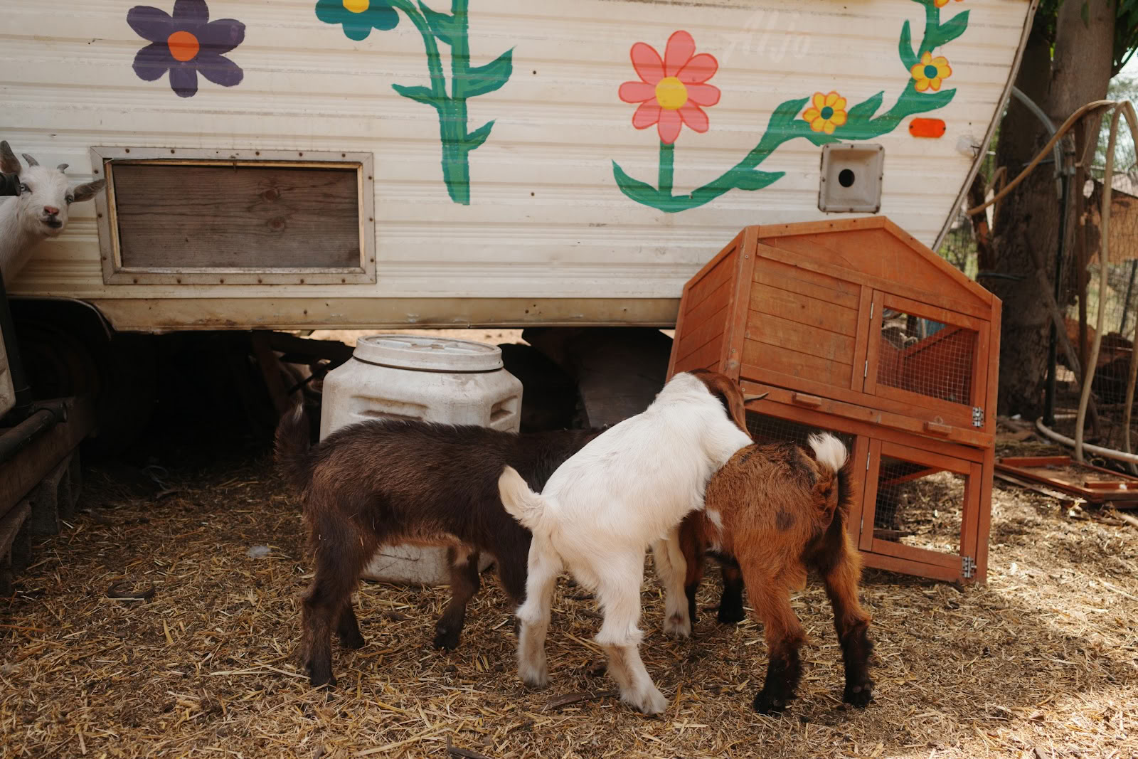 Splitrock Farm et retraite