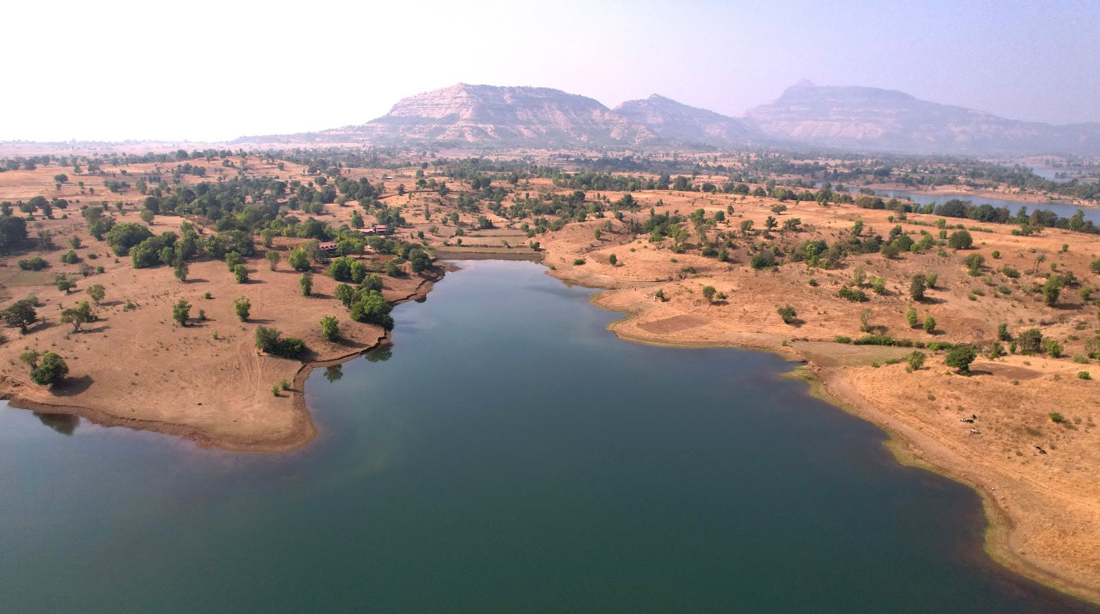 SiddhaDham - Séjour à la ferme & retraite bien-être - Nashik / Igatpuri