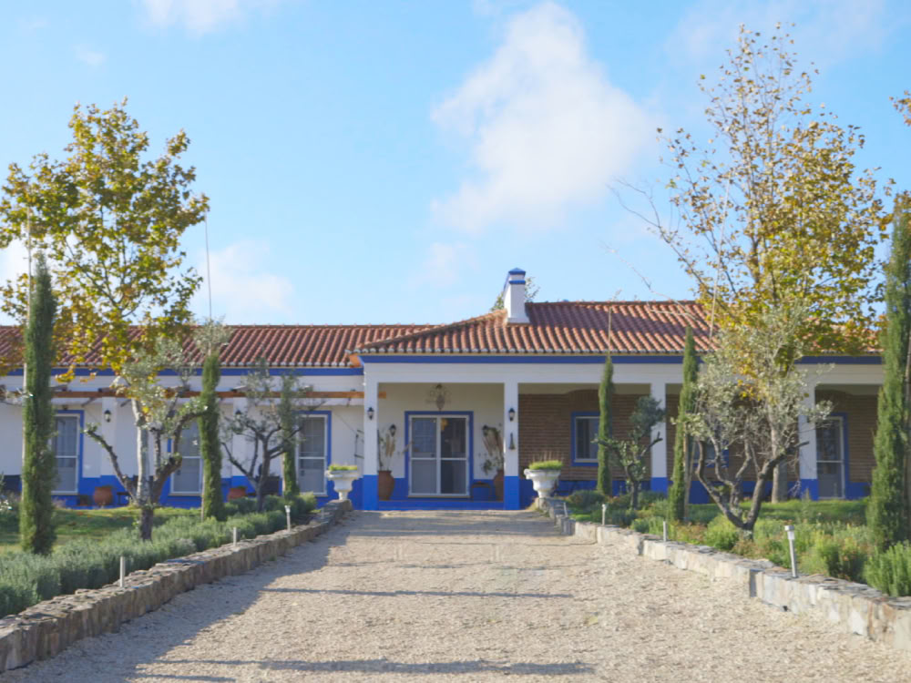 Tabula Rasa Retreat - Centre de traitement à l’ibogaïne préféré en Europe pour un traitement de luxe à l’ibogaïne | Clinique de thérapie | Addiction