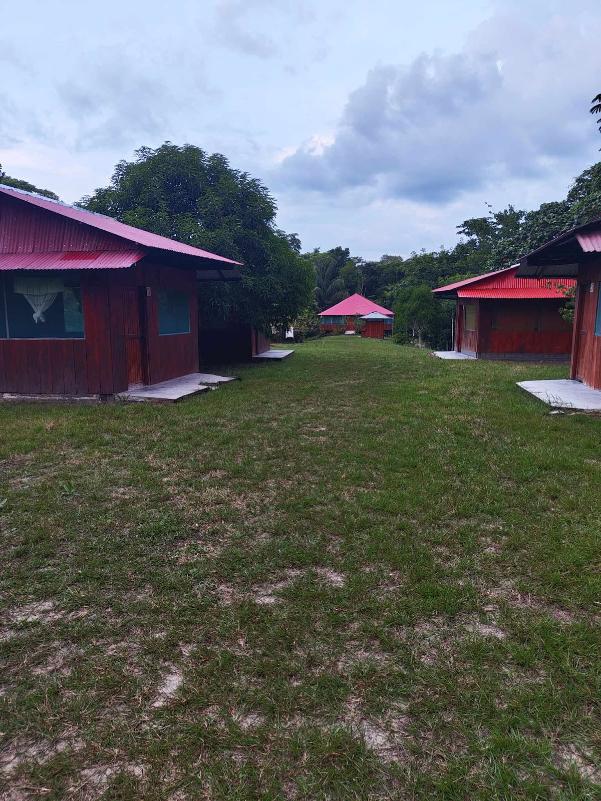 Official, Selva Madre Ayahuasca Retraite Iquitos Peru