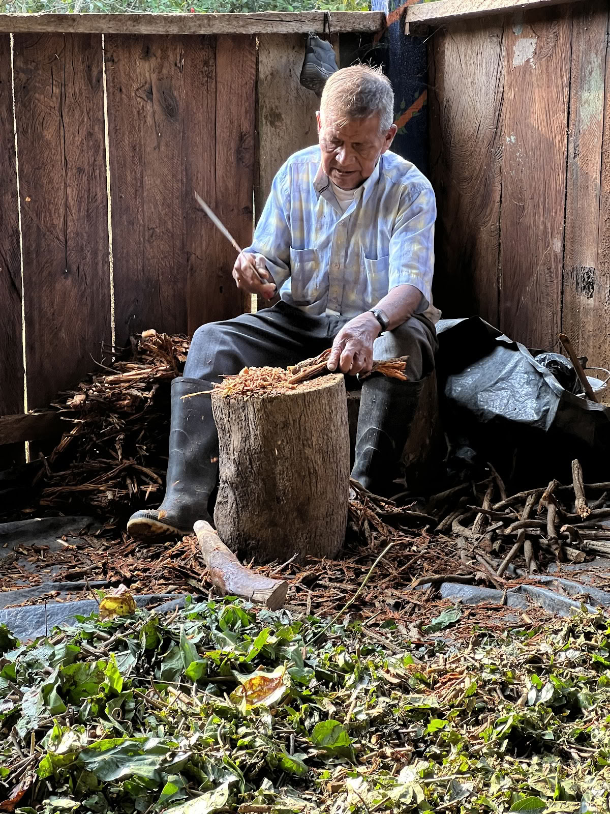 Ayahuasca Spirit Colombie