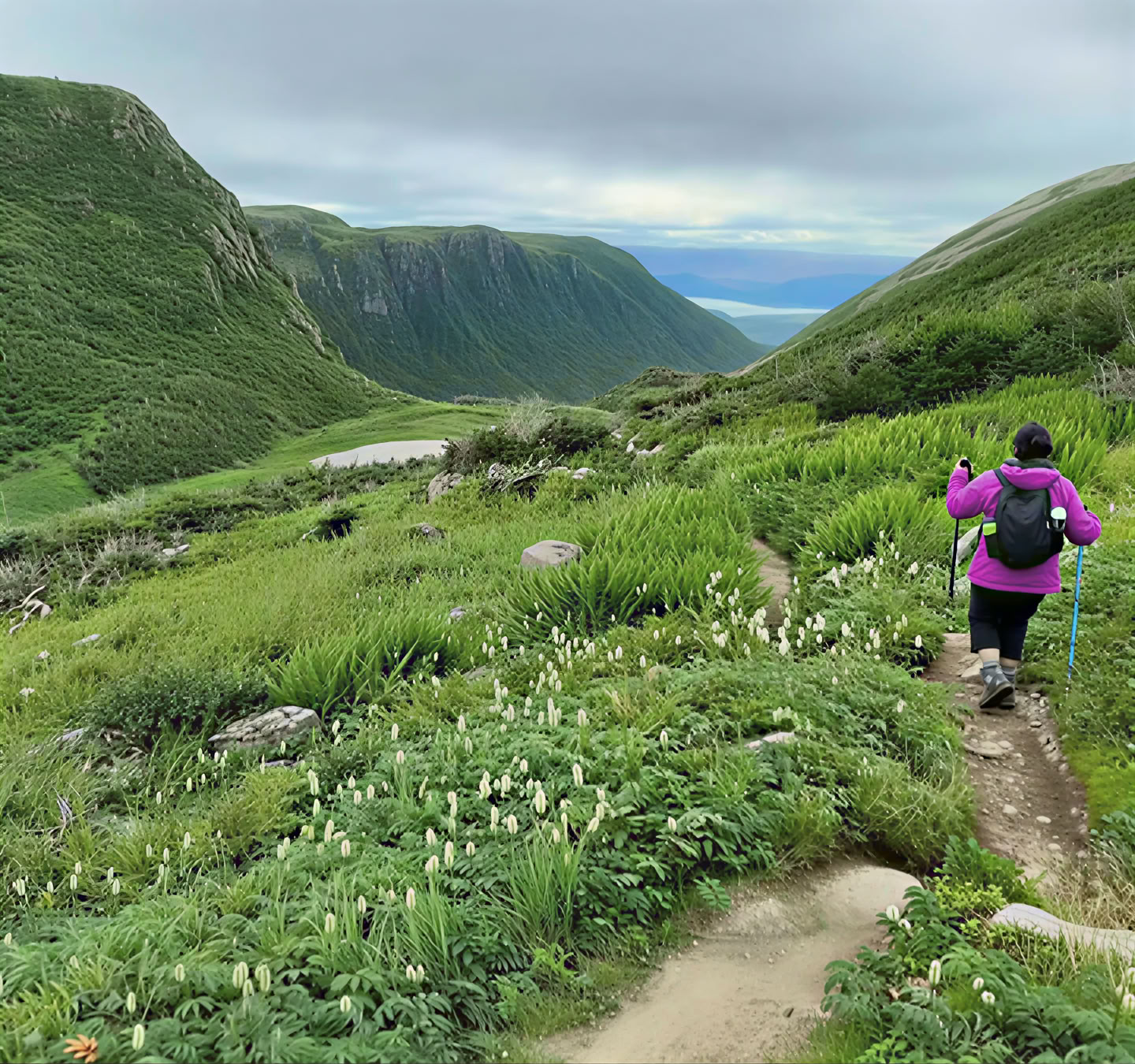 Transform Gros Morne Retraites
