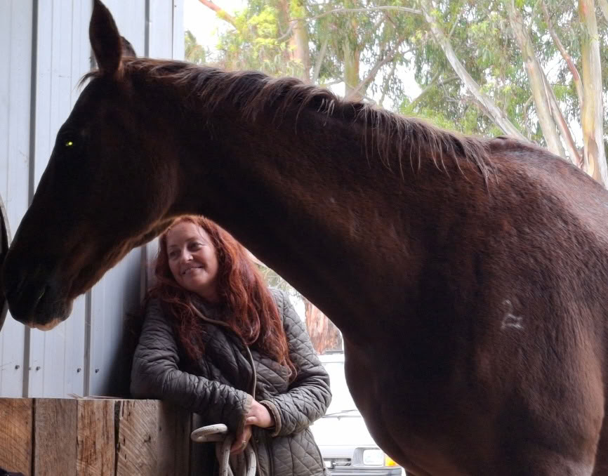 Heart of the Horse- Travailler avec les chevaux pour aider les personnes à guérir