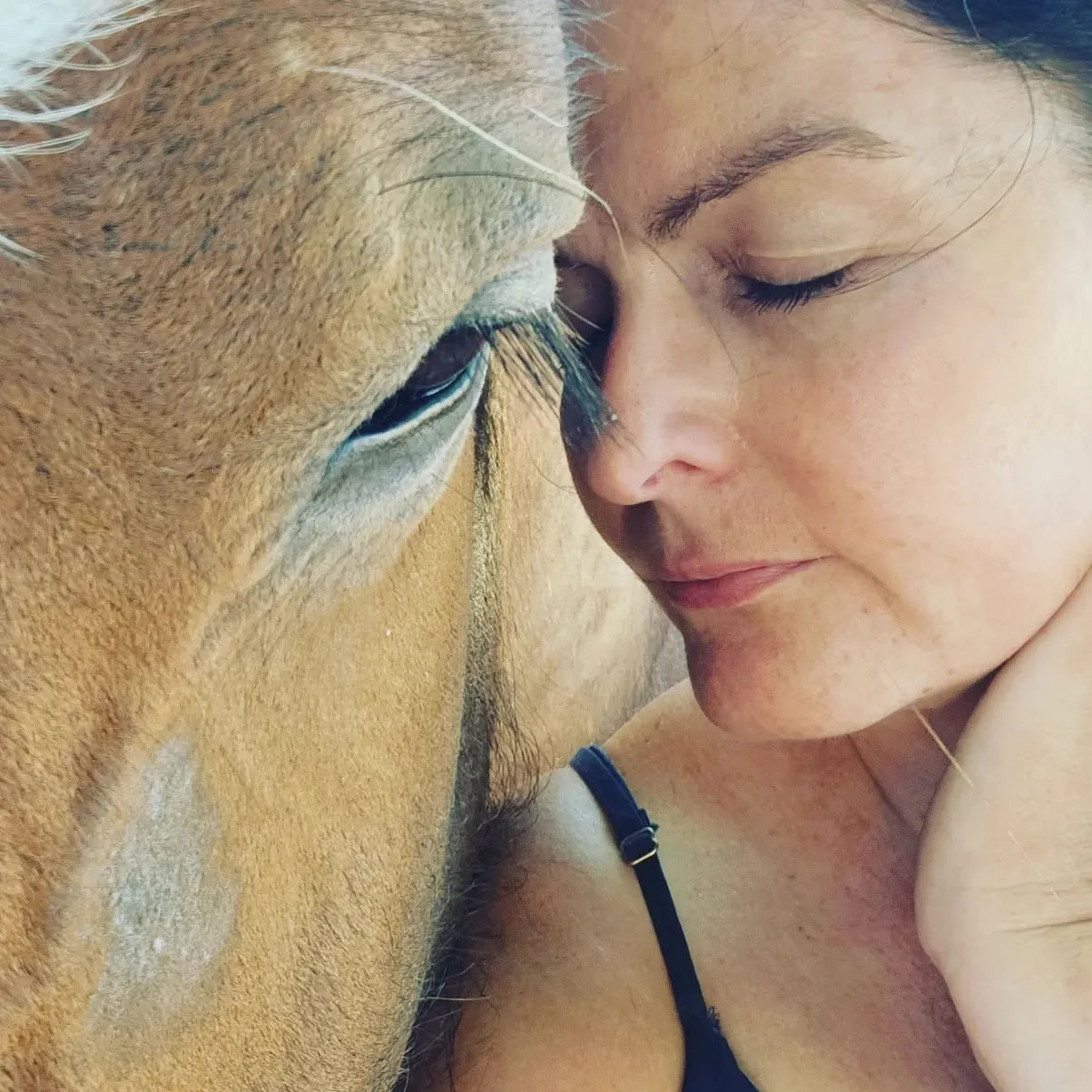 Heart of the Horse- Travailler avec les chevaux pour aider les personnes à guérir