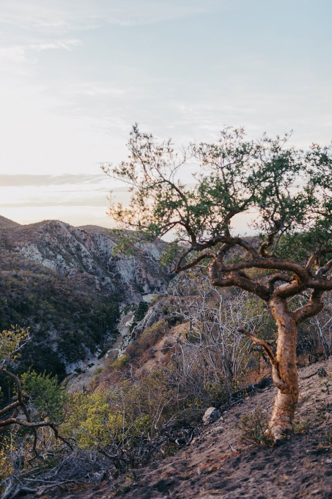 ETÉREO | Baja California Sur