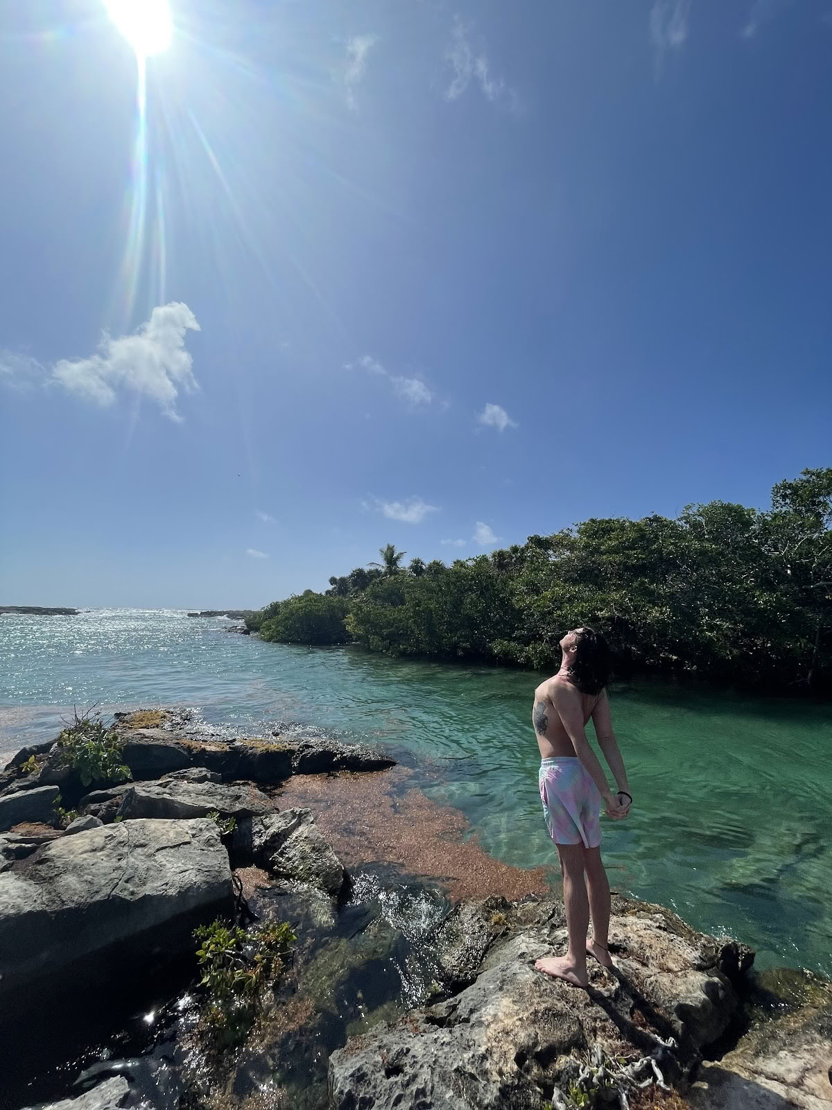 Mi Vida Yoga Retraites Tulum (Office)