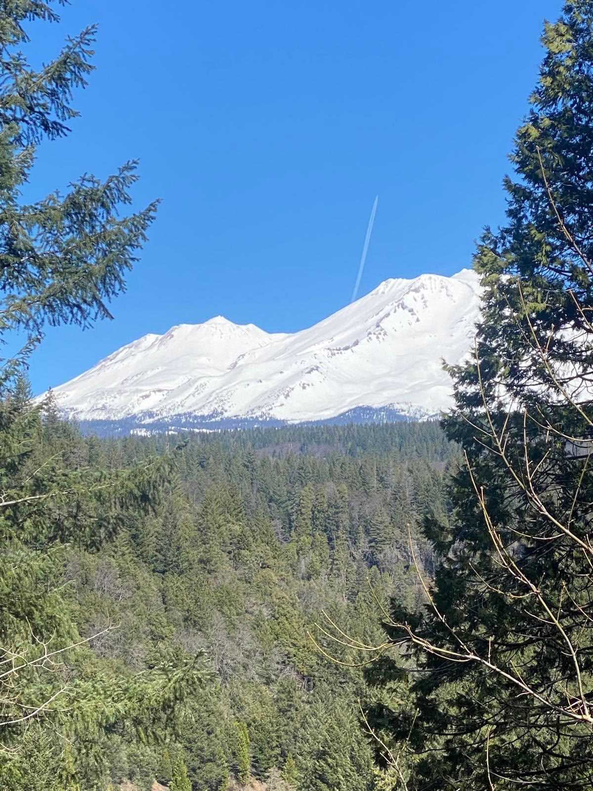 Pachamama Sacred Paths