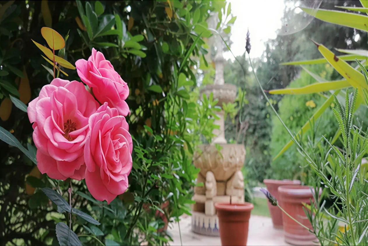 Casa Colibrí (Santé holistique)