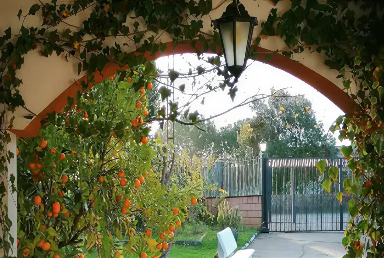 Casa Colibrí (Santé holistique)
