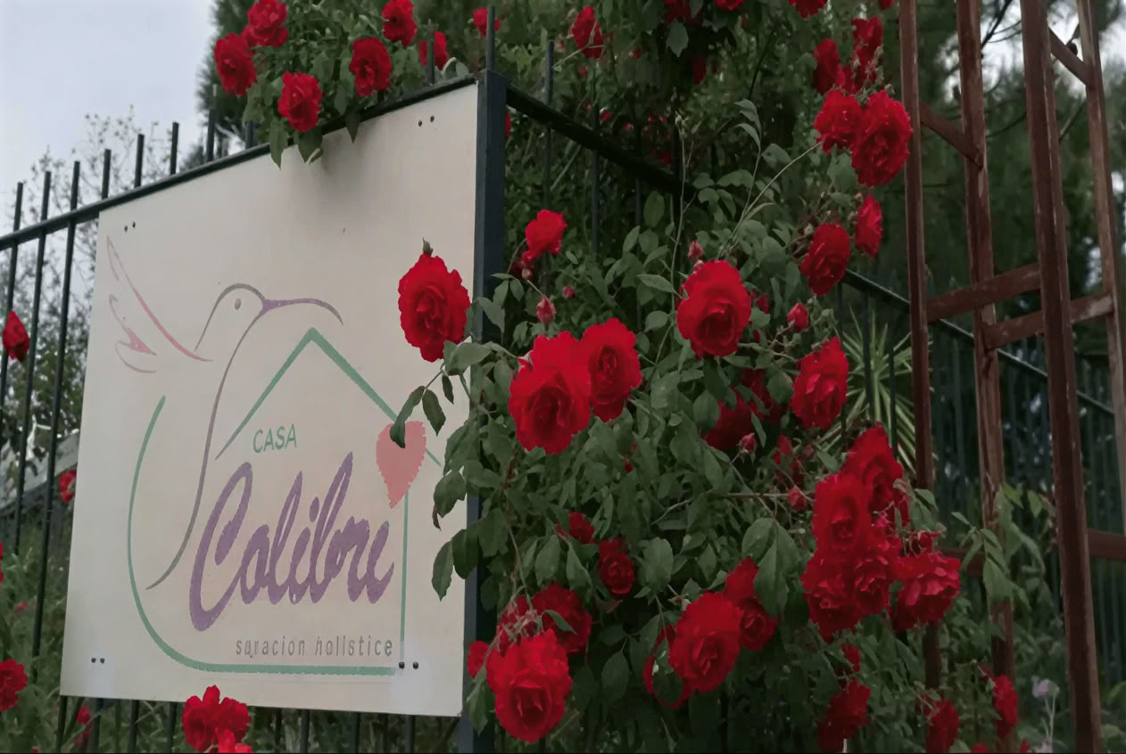Casa Colibrí (Santé holistique)
