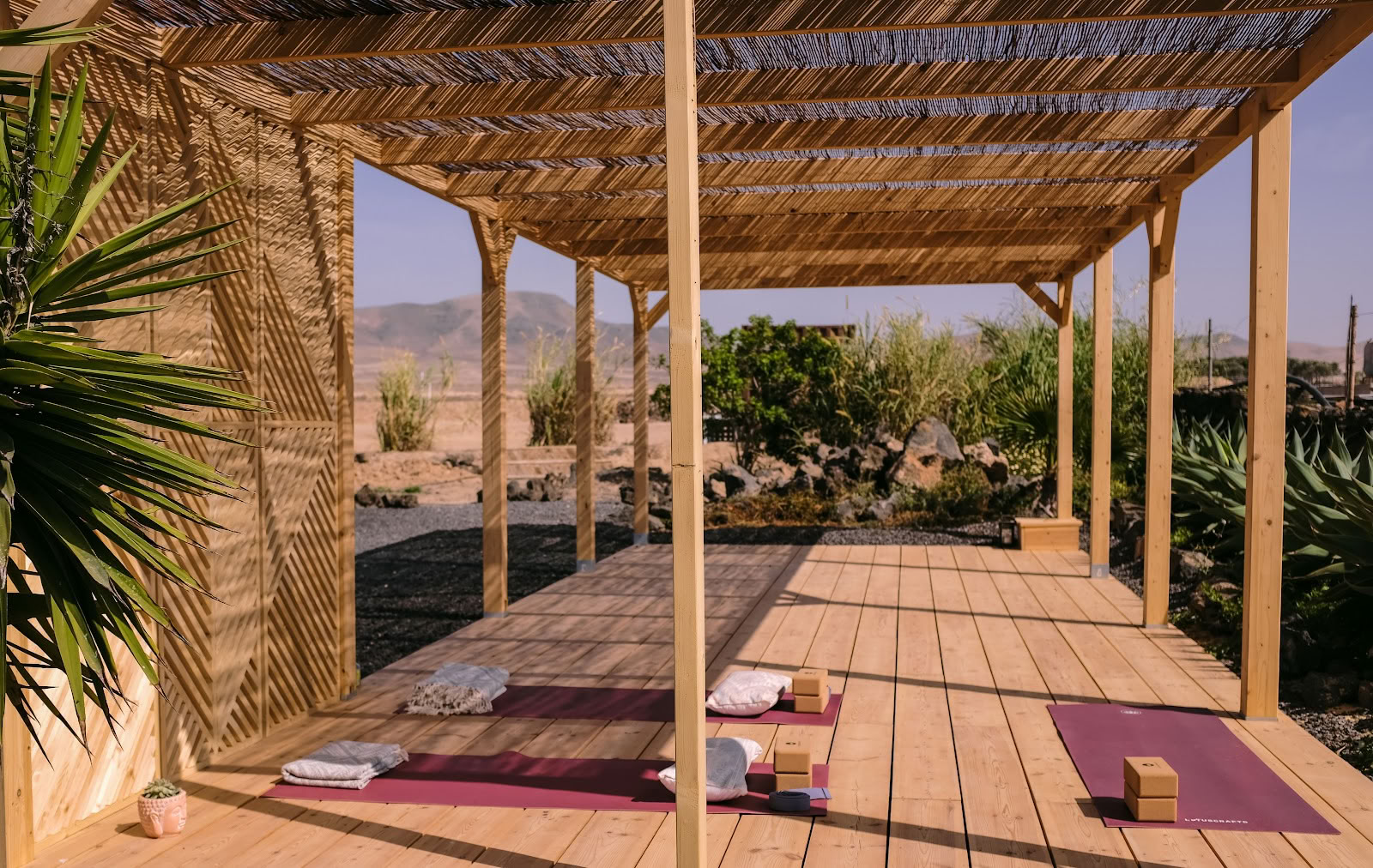 Surf & Yoga Retraites Fuerteventura
