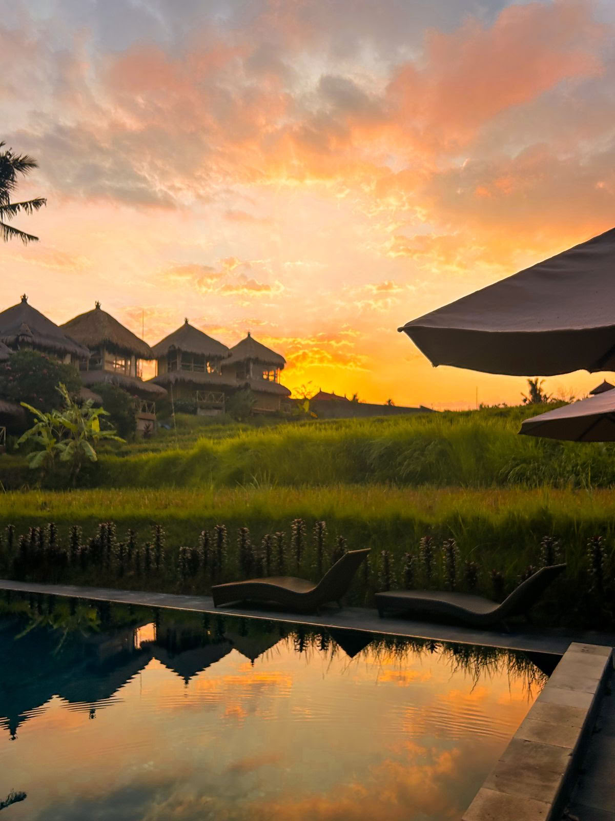Shades of Yoga - Formation de professeurs de yoga à Bali