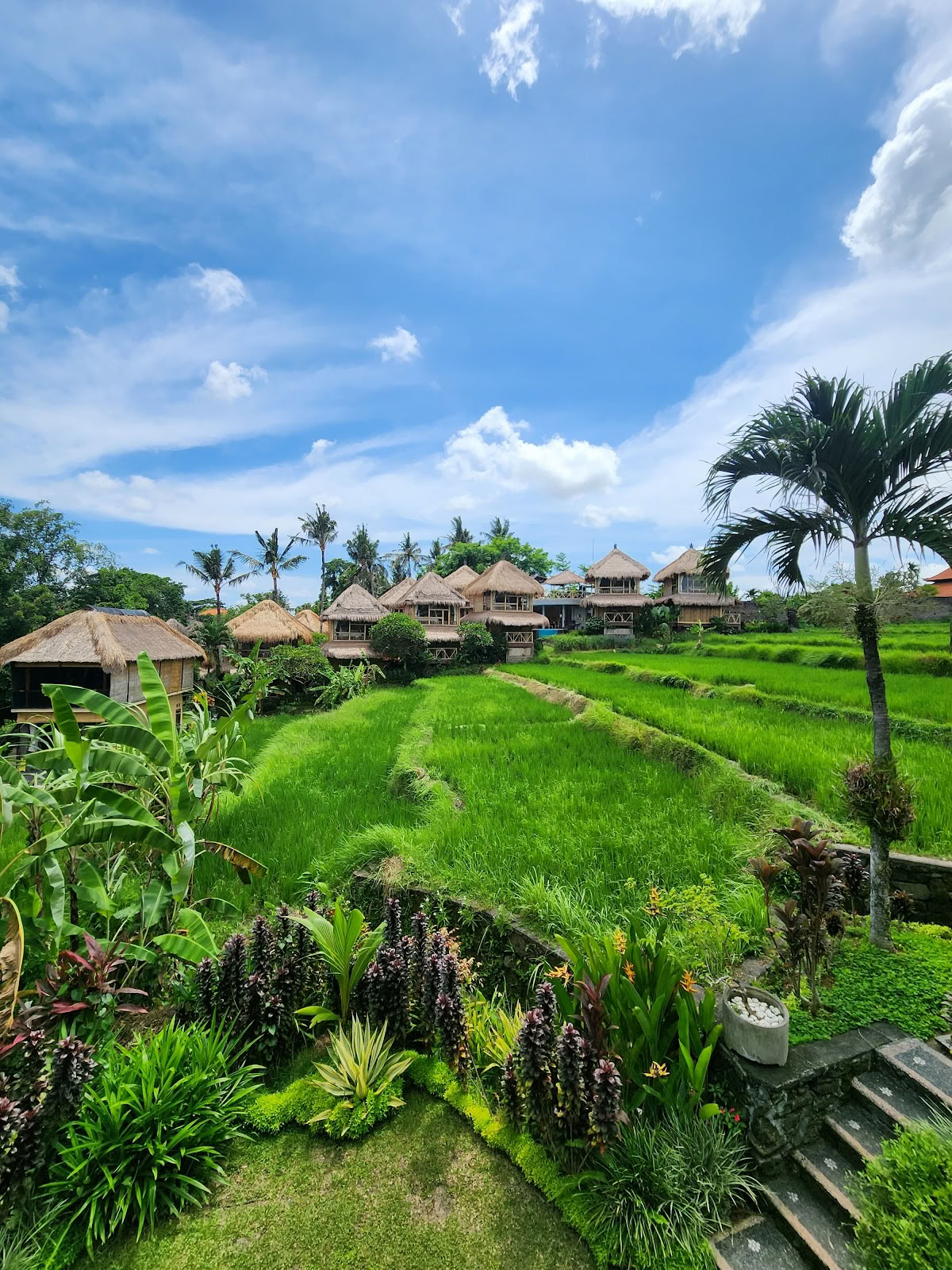 Shades of Yoga - Formation de professeurs de yoga à Bali