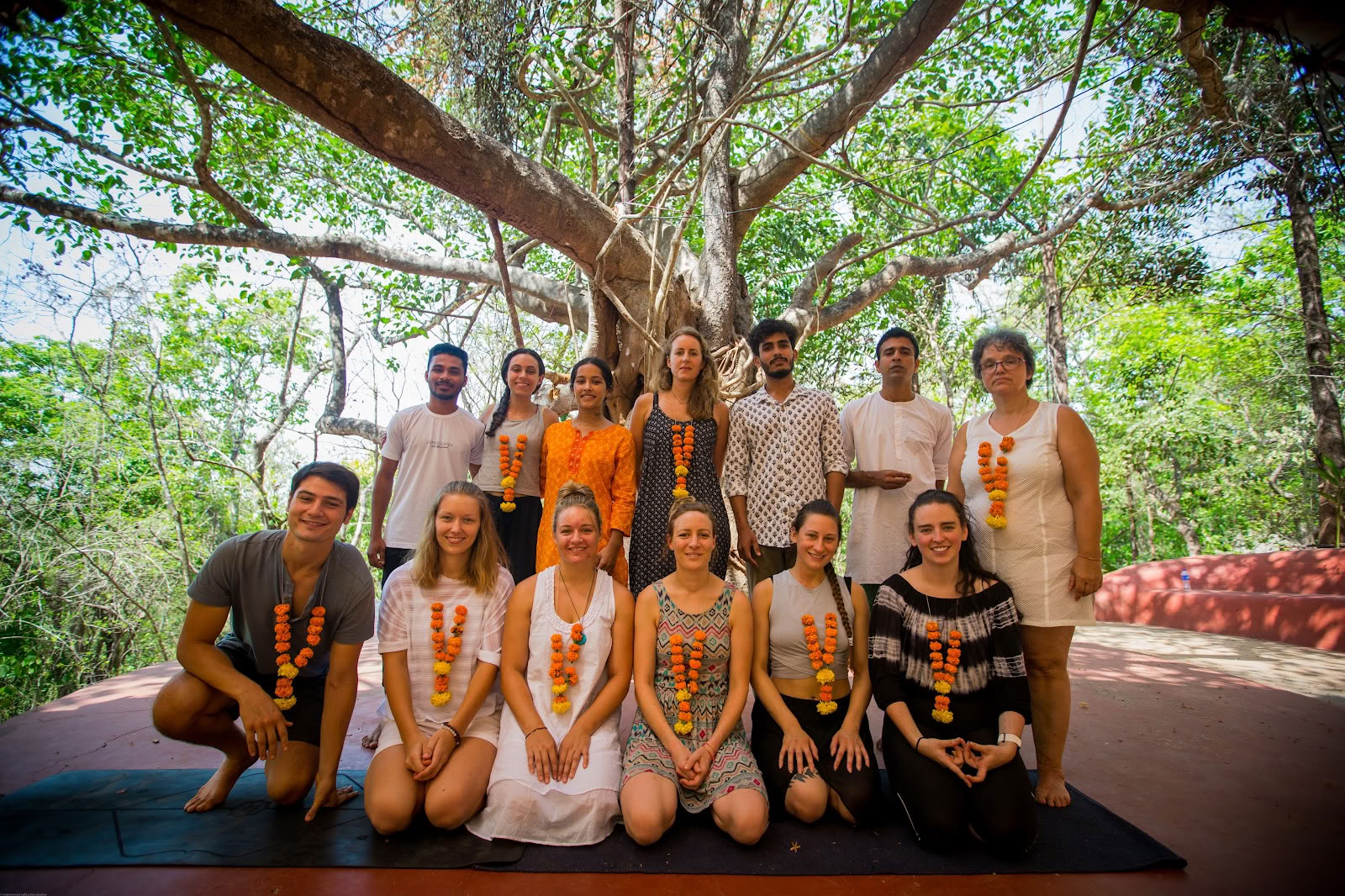 Tapas Yoga India| Meilleure formation de professeur de yoga et retraite de yoga en Inde