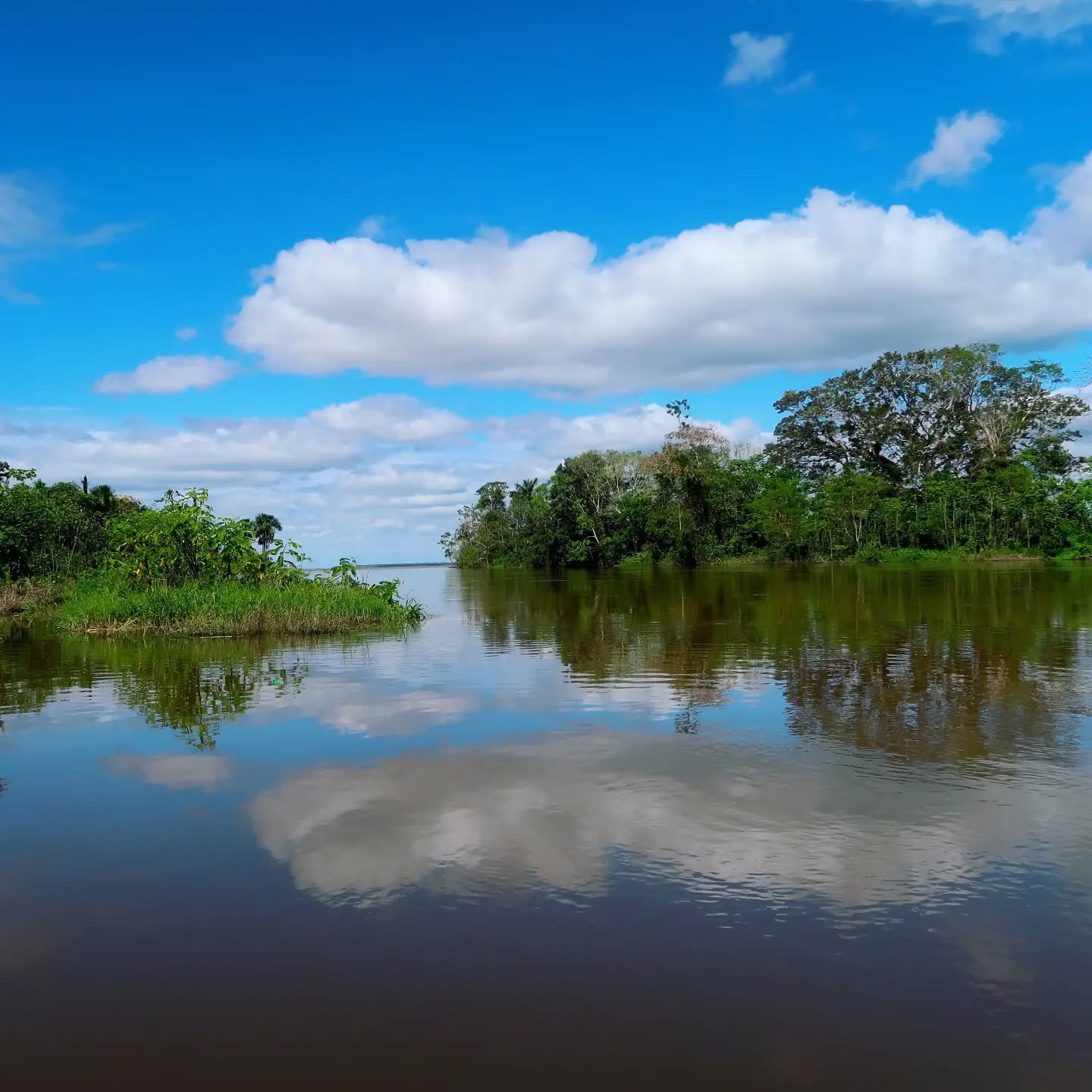 La Lune de l’Amazonie