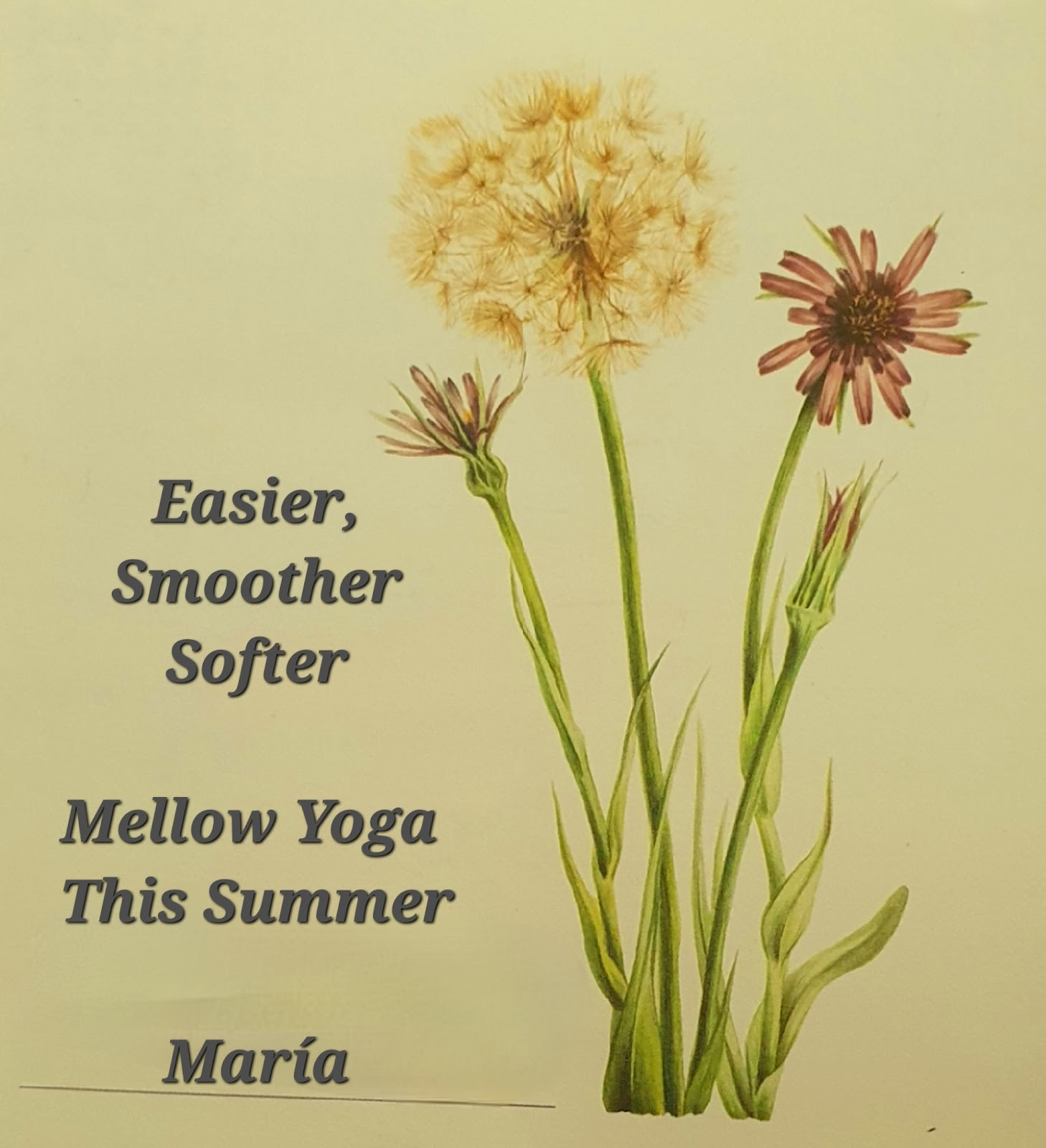 Yoga avec María | Sotogrande
