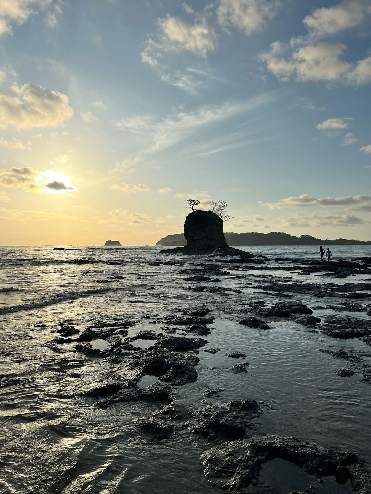 Blue Zone Therapy Hub