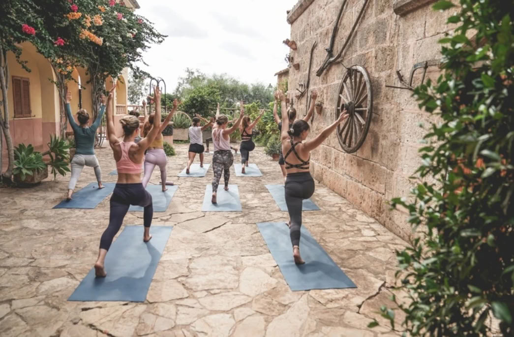 The Yoga Concept
