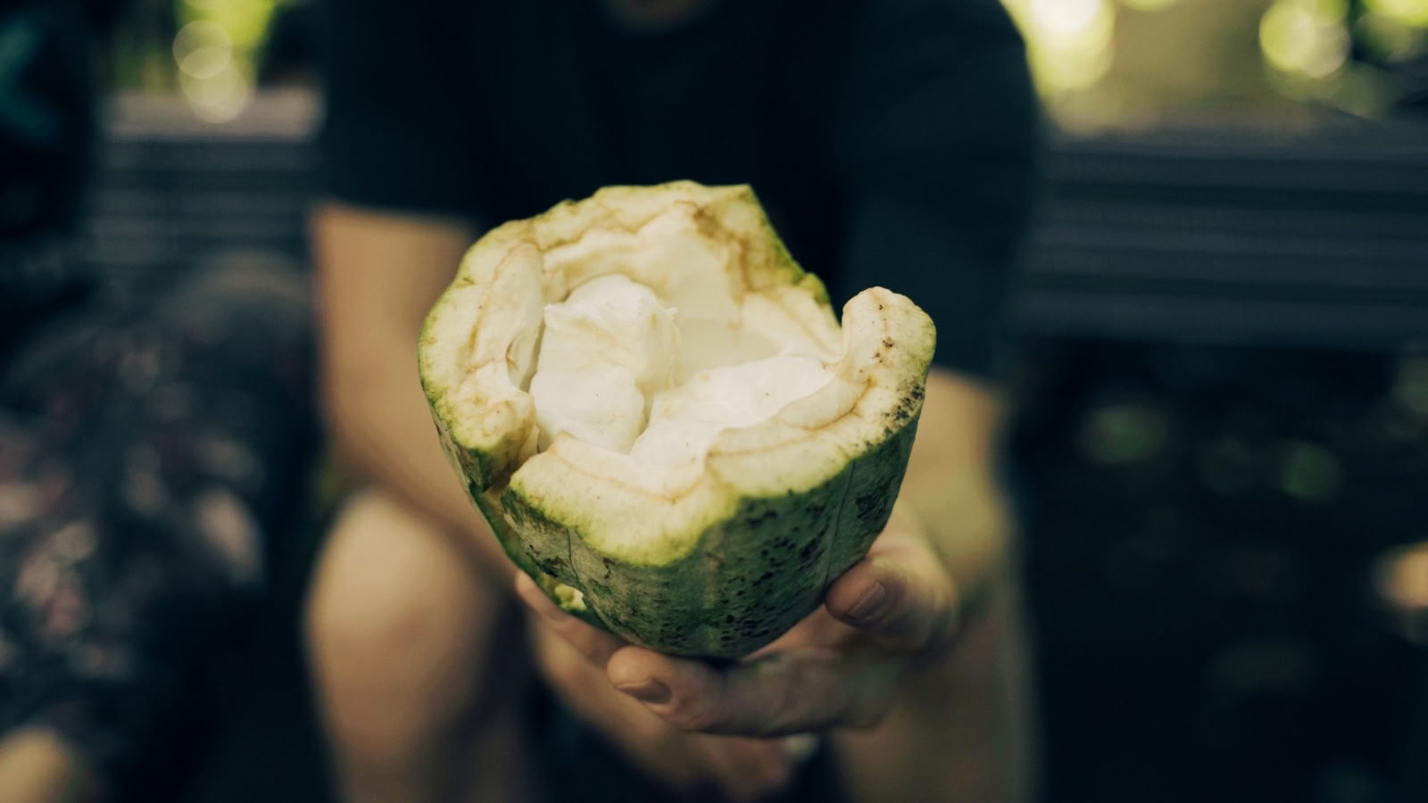 Source de Cacao