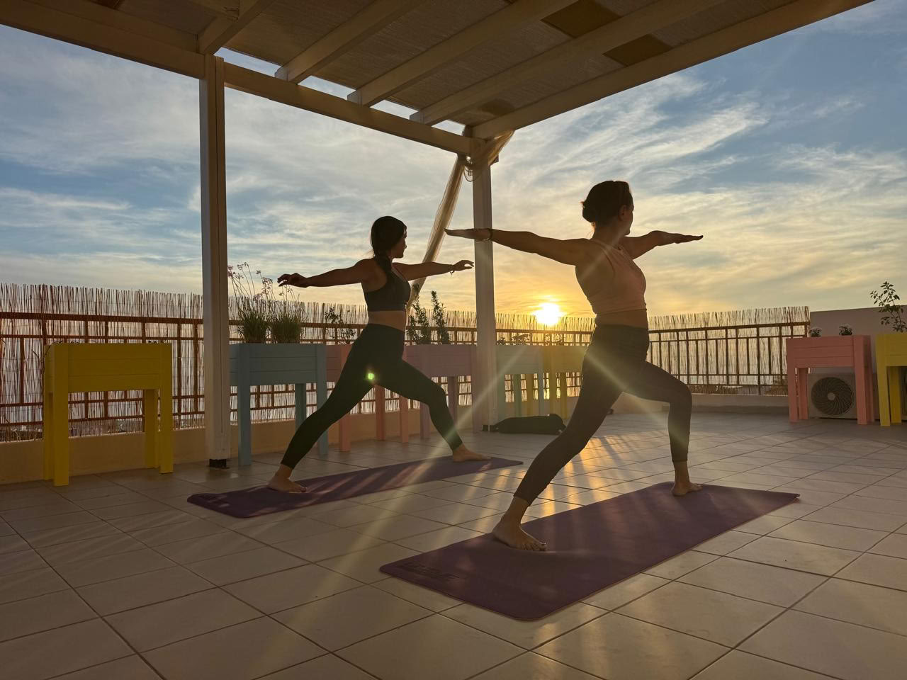 Retraite de yoga avec chiots