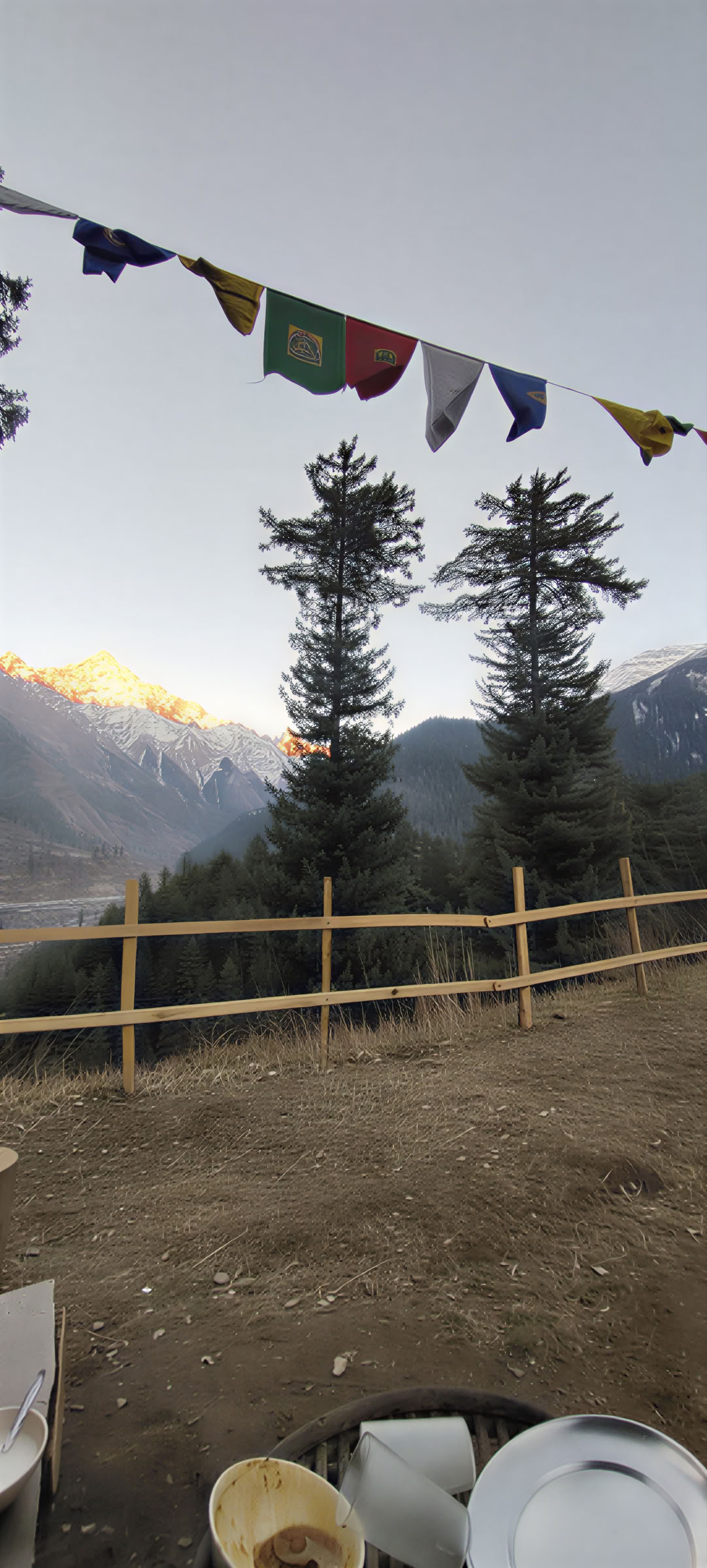 Ameya Himalayan Yogi's