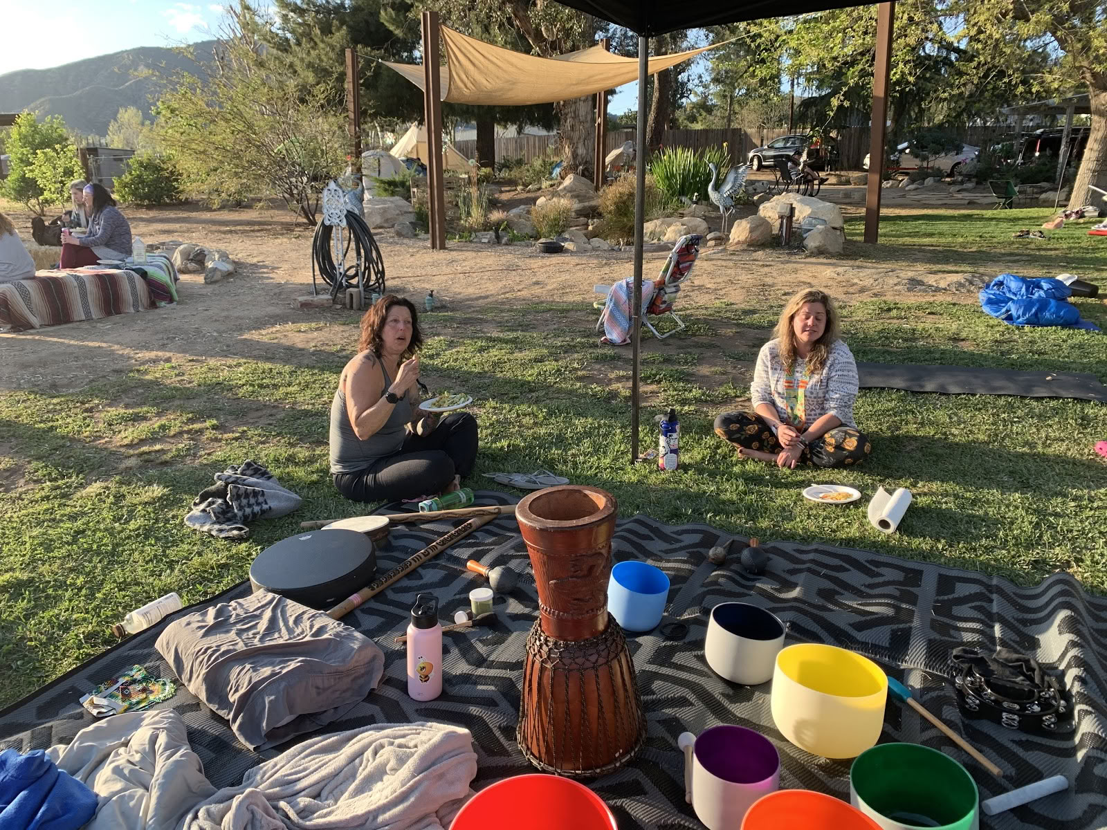 Hummingbird Church Ayahuasca Retreats in United States