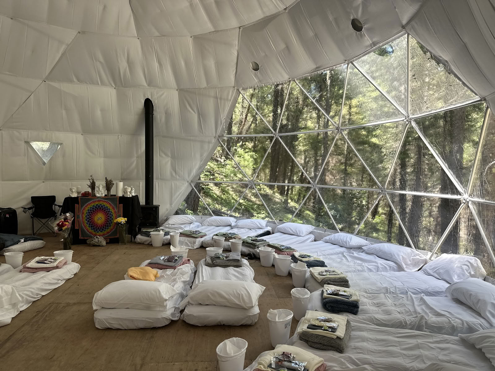 Hummingbird Church Ayahuasca Retreats in United States