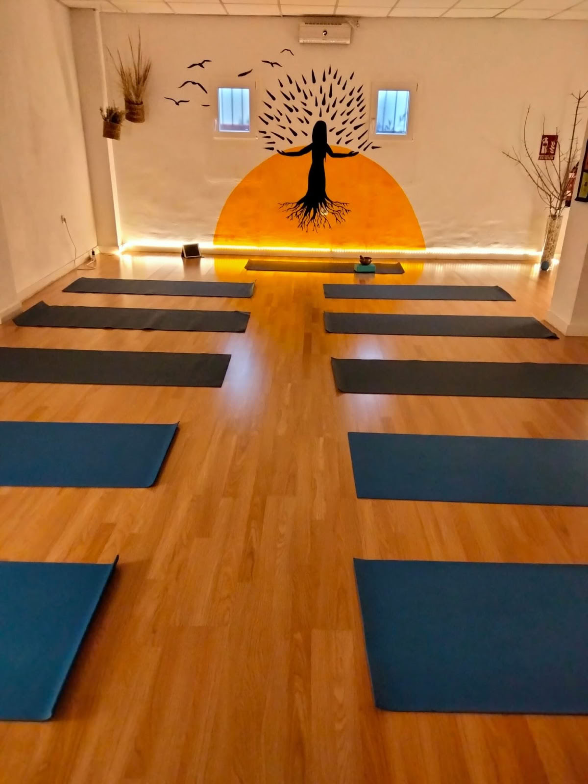 Alma y Tierra | Boutique d'herboristerie | Centre de thérapies naturelles et de yoga