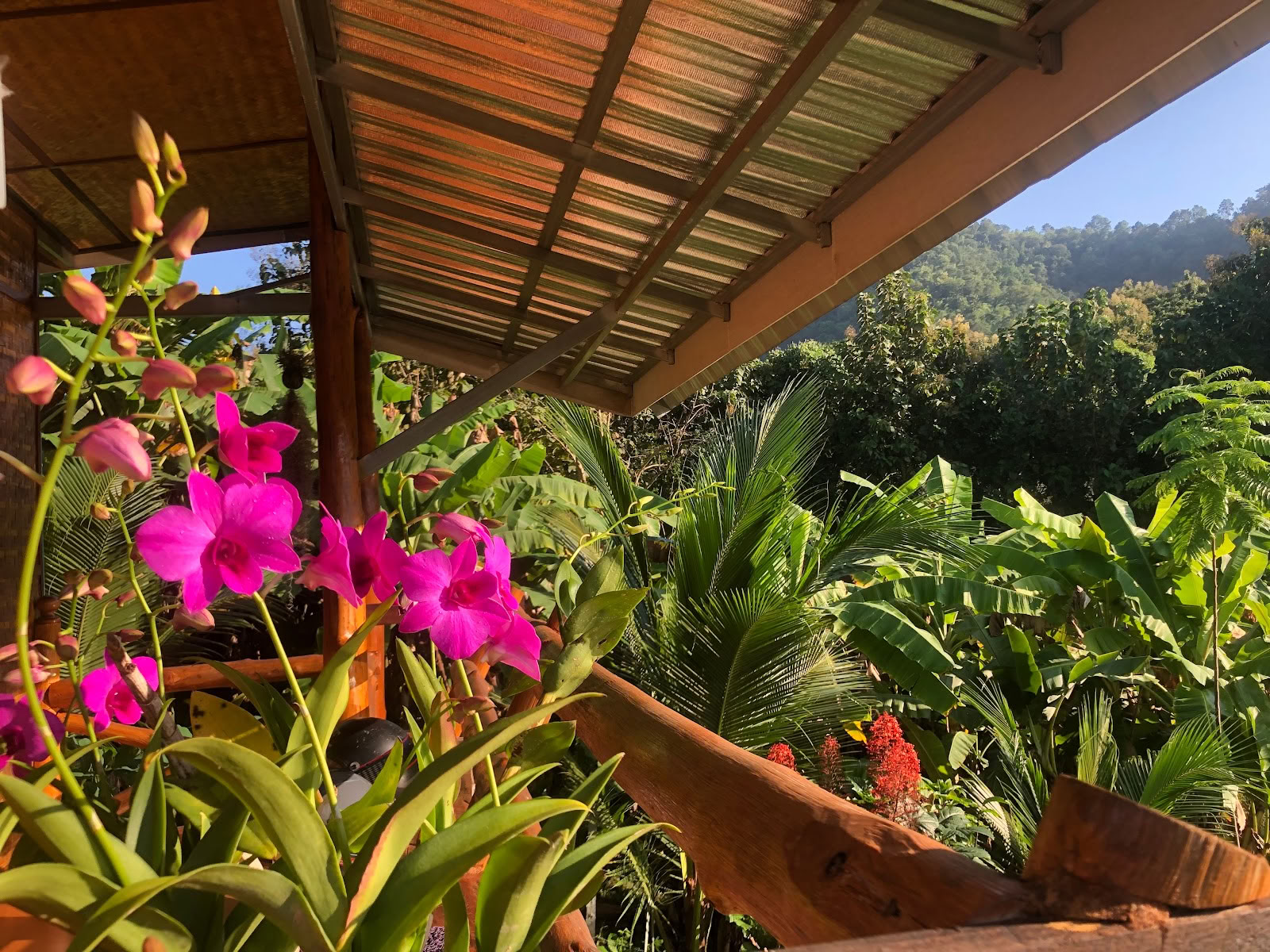 True Nature Chiang Mai - Yoga & Méditation Home Stay Retraite