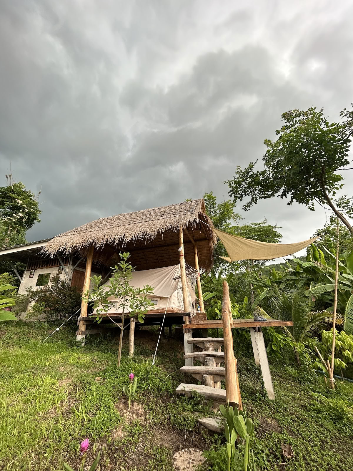 True Nature Chiang Mai - Yoga & Méditation Home Stay Retraite