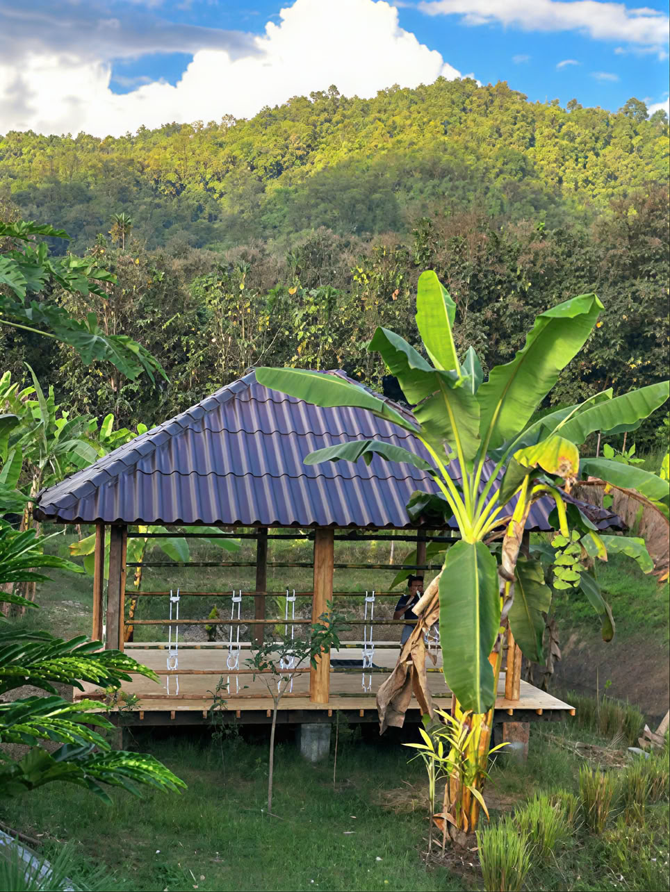 True Nature Chiang Mai - Yoga & Méditation Home Stay Retraite