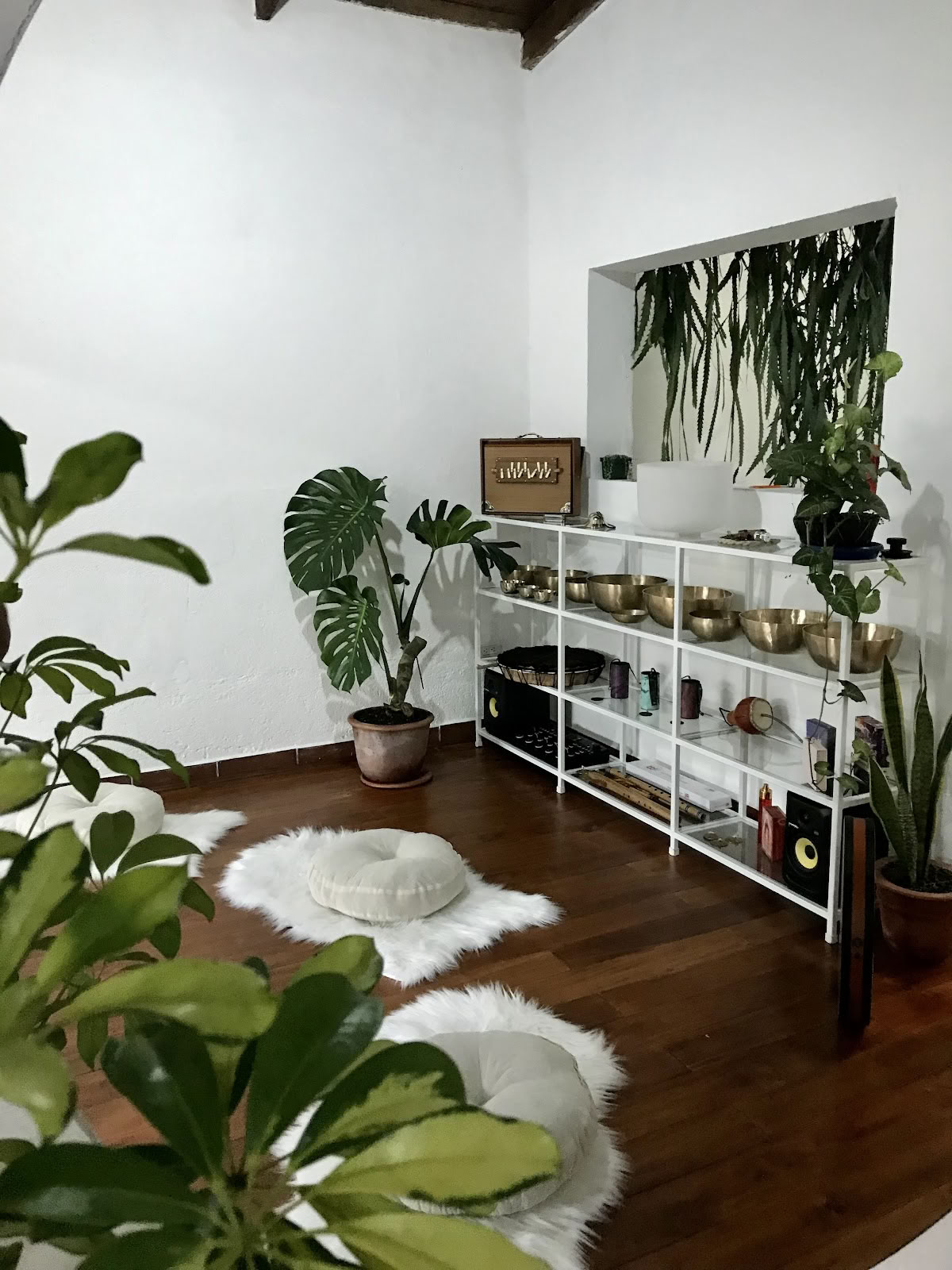 Holistic Bloom - Centre de santé et de bien-être