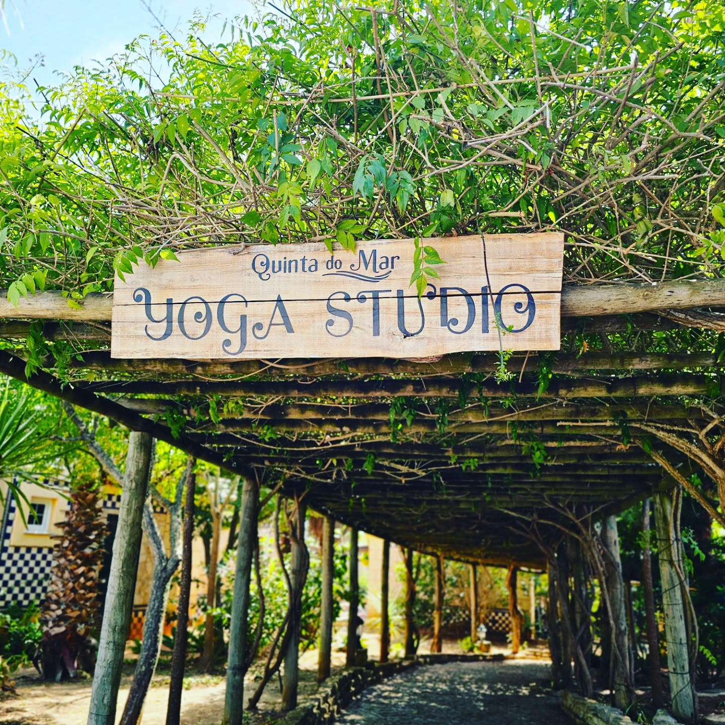 Transform to Bliss Yoga, Espace Événementiel & Bien-être - Lagos, Algarve