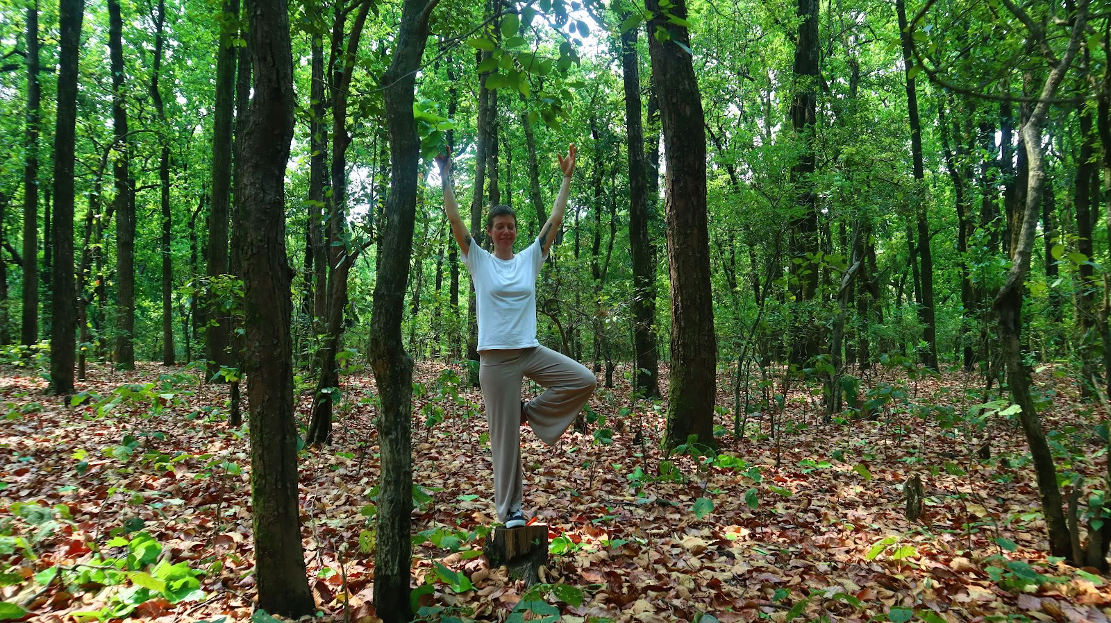 YOGA ESSENCE : Formation de professeur de méditation à l’ashram