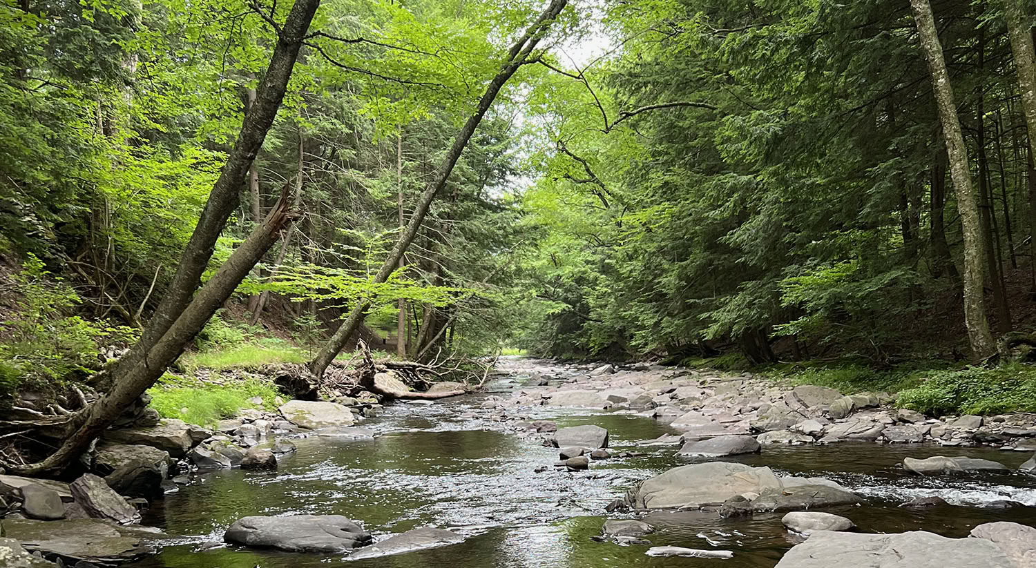Retraite spirituelle en pleine nature au Blue Deer Center