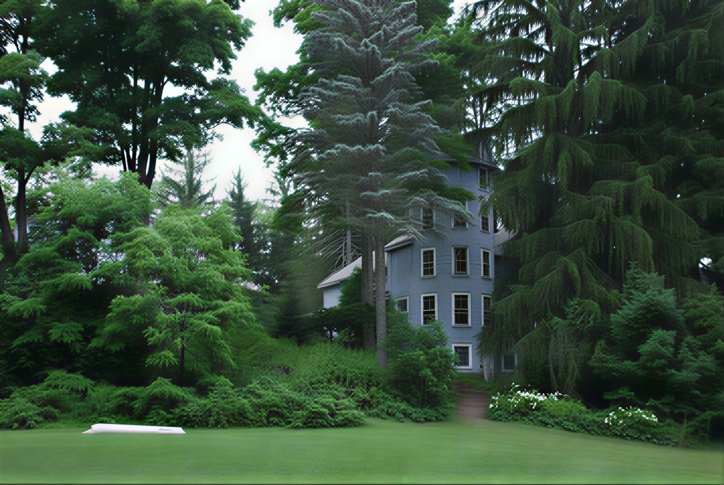 Retraite spirituelle en pleine nature au Blue Deer Center