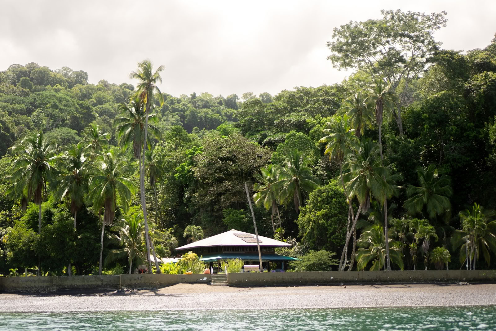 Pandorita Costa Rica - Ateliers d’ayahuasca