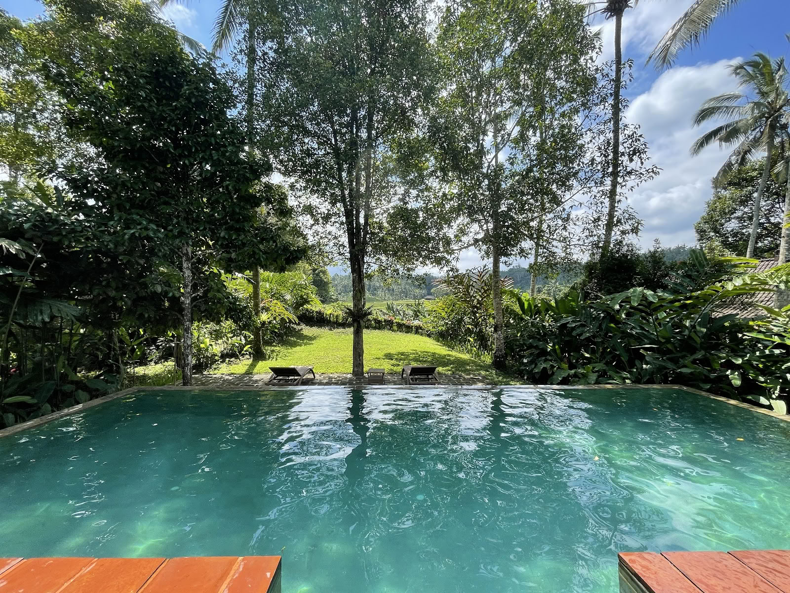 Colline du Clou de Girofle - Éco-resort de Bali