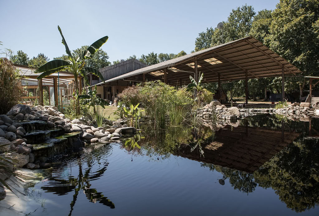 Hangar Project - Yoga et surf