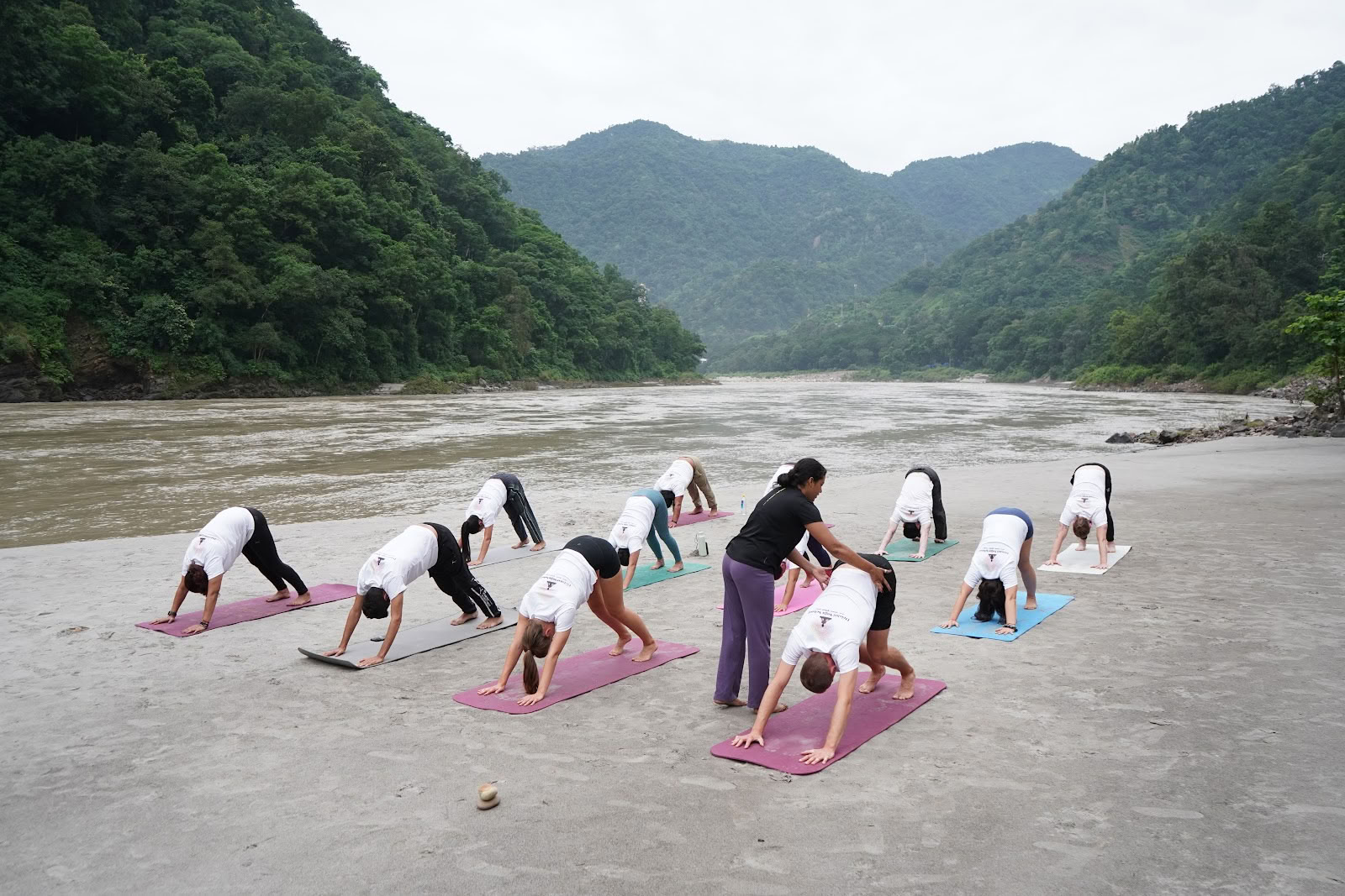 Drishti Yoga School - Meilleure école de formation de professeurs de yoga à Rishikesh