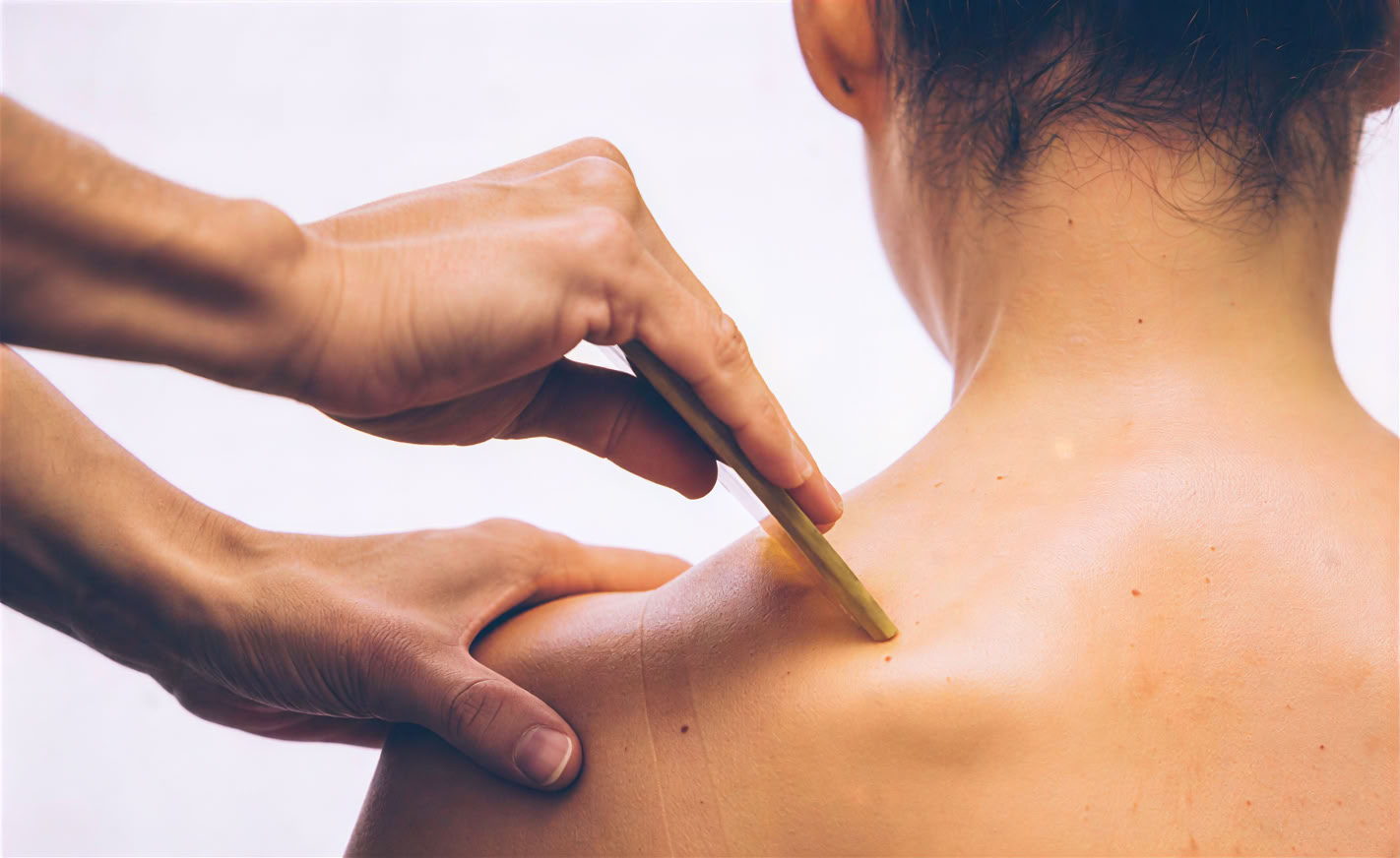 Vie nourrissante à Los Angeles • Acupuncture et médecine chinoise