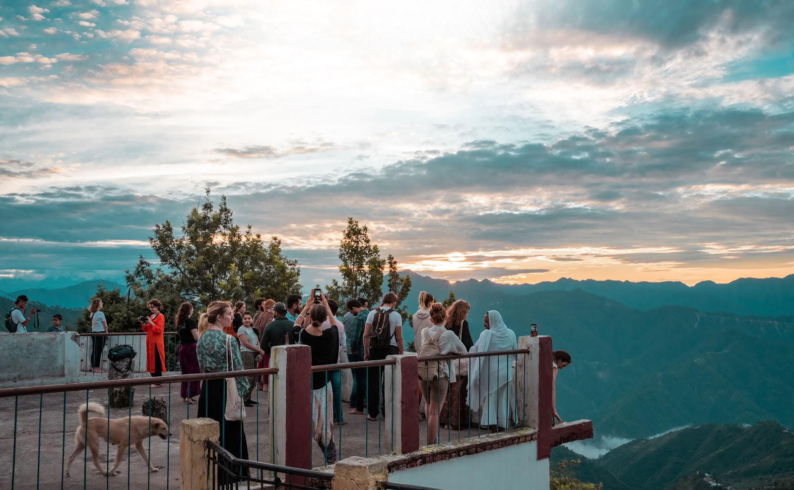 Samadhi Yoga Ashram - Meilleure école de yoga à Rishikesh, en Inde