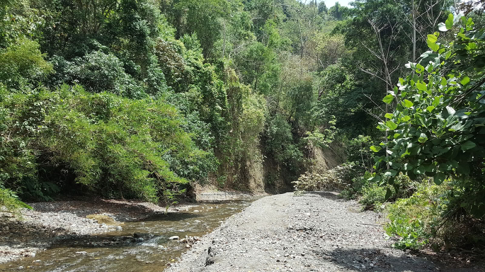 Péninsule d’Osa