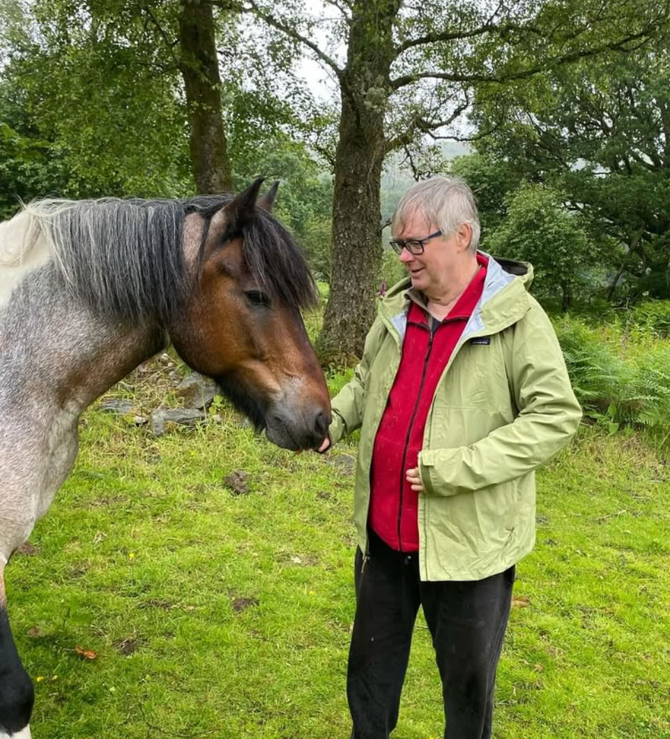 Meditate with Horses Ltd