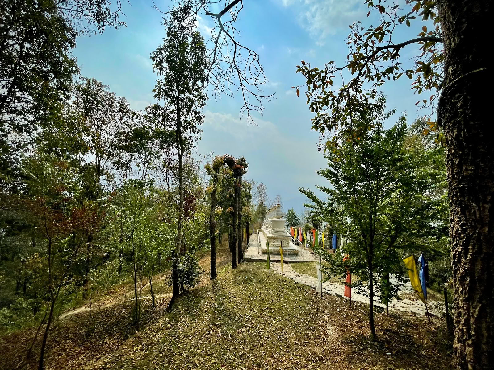 Centre Bouddha Pada