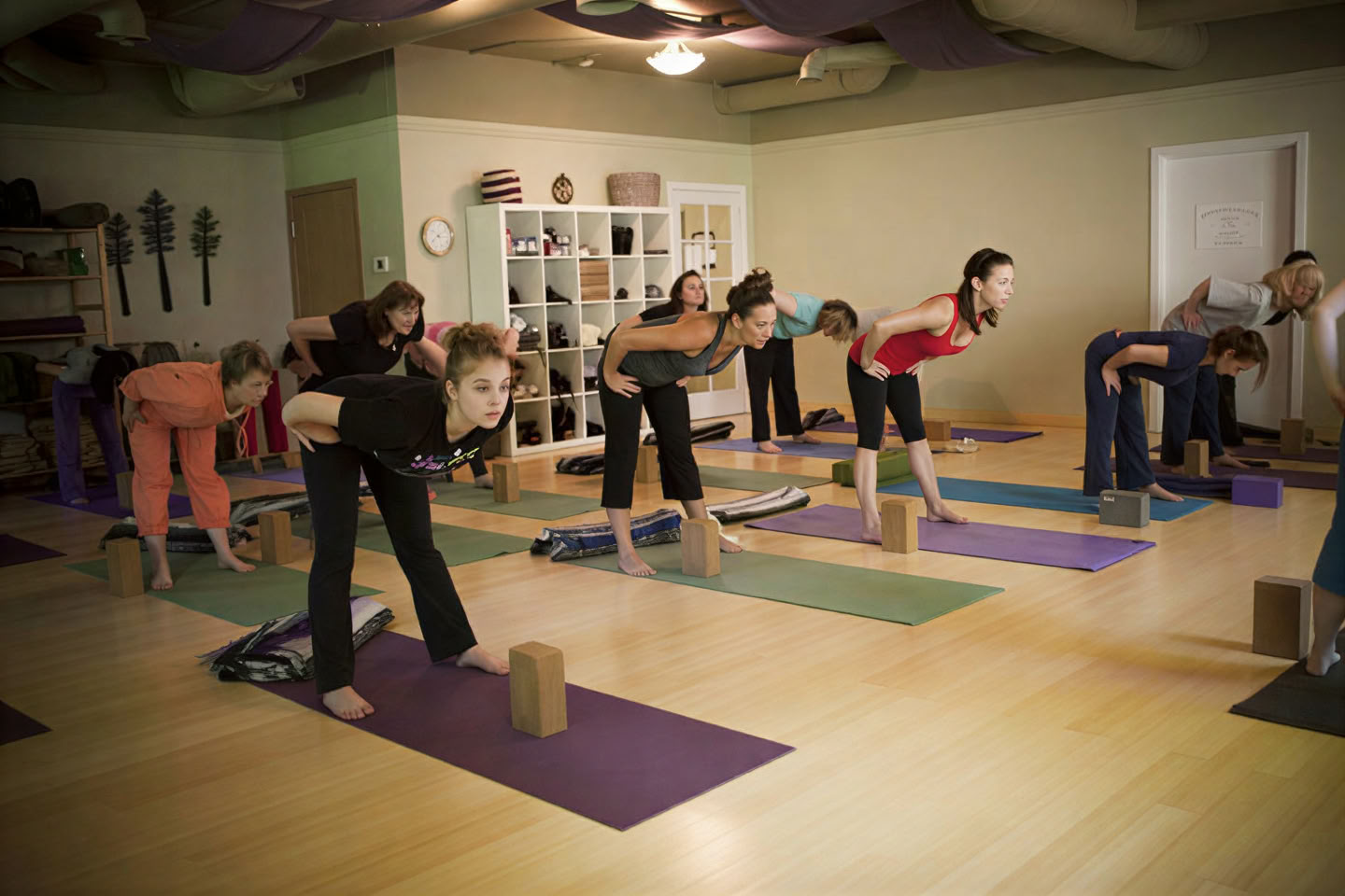 Yoga des Trois Arbres