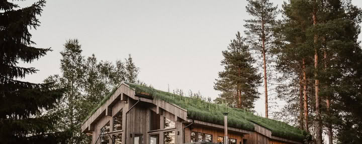 Retraite en forêt