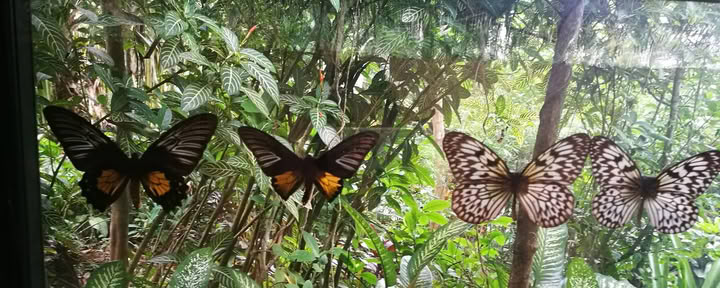 Retraite et resort Lihok sa Harmonya des Highlands